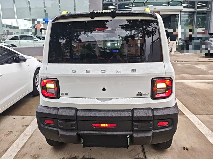 2025 210km Panda photo 3