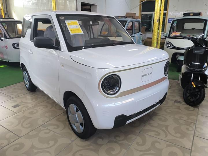 2024 Panda mini 200km Endurance Bear photo 3