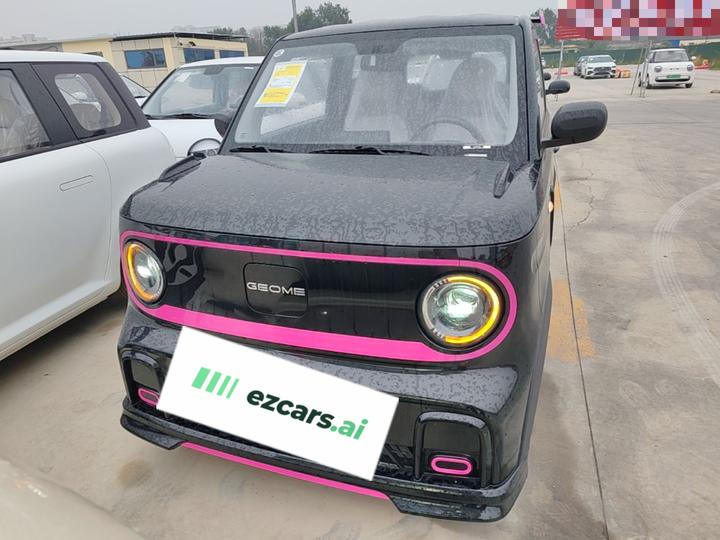 2025 210km Panda photo 2