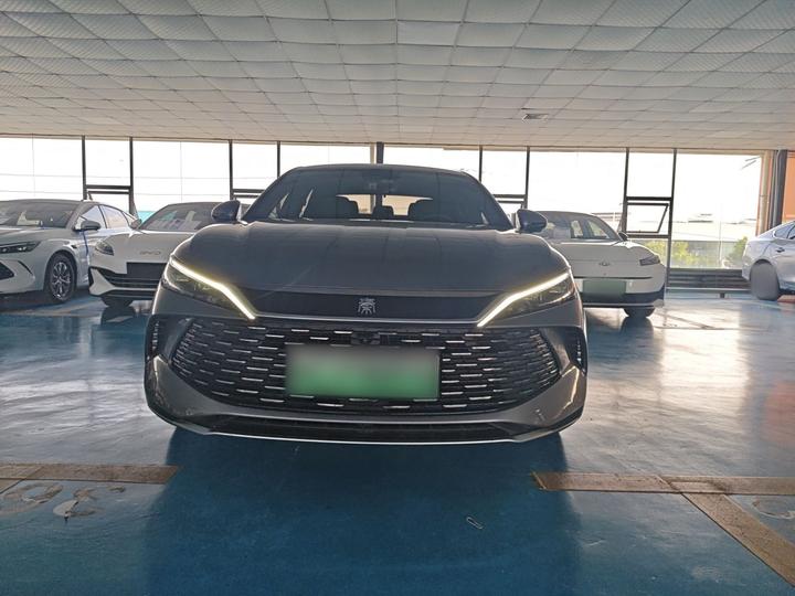 Qin L 2024 DM-i 80KM photo 2