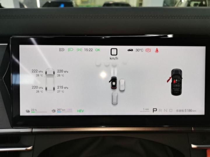 Tang L 2025 DM 175KM photo 7