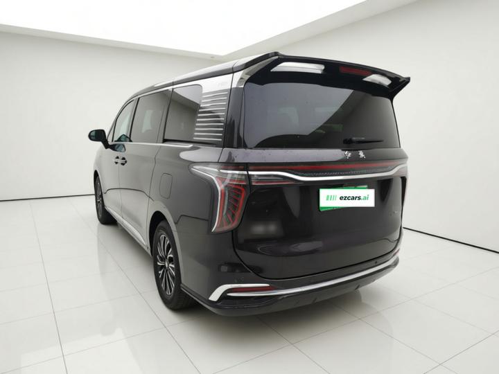 HQ9 PHEV 2024 2.0T AWD Business photo 4