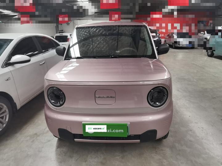 2023 Panda mini 200km Endurance Bear photo 2
