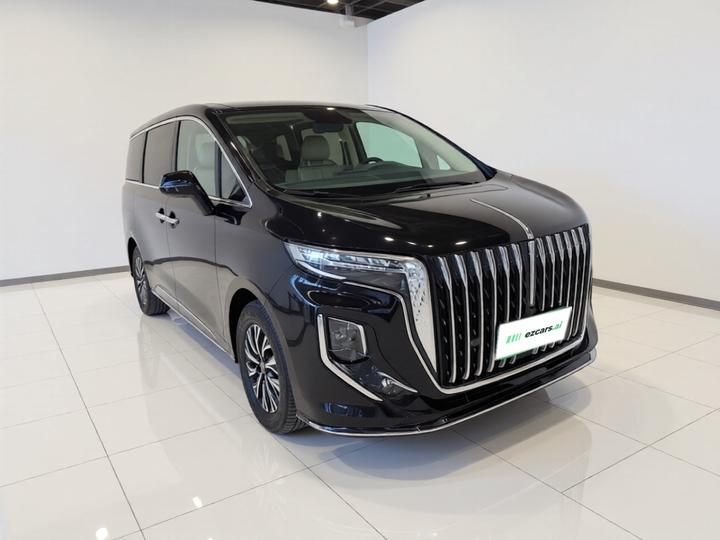 HQ9 PHEV 2024 2.0T AWD Business photo 3