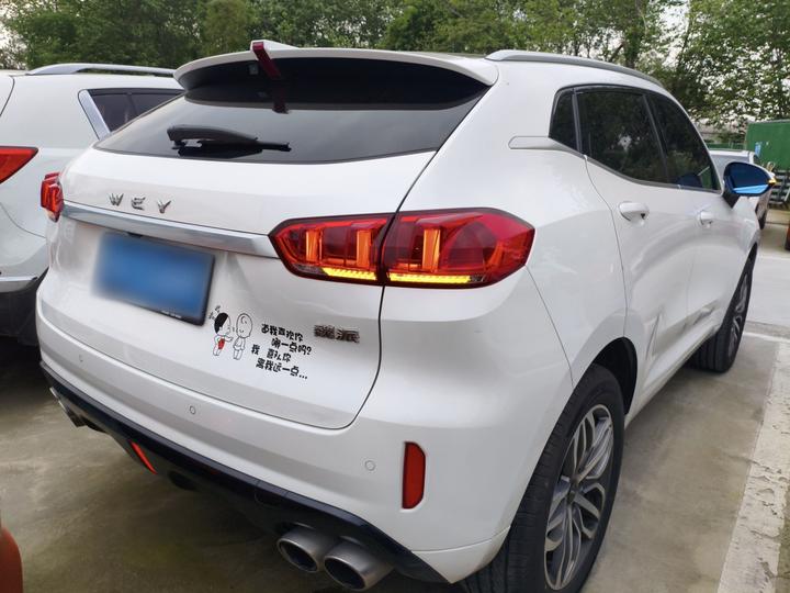 VV5 2019 Upgraded 2.0T RWD China VI photo 4