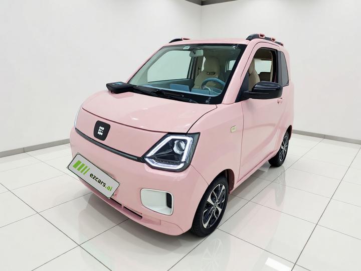 Fengon MINIEV 2022