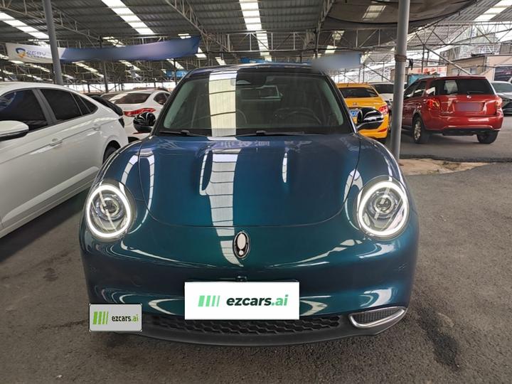 Good Cat 2021 400km Standard Range LFP photo 2