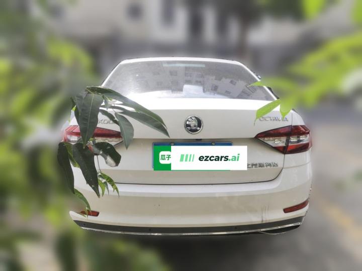 Octavia 2019 1.5L AT Luxury photo 5