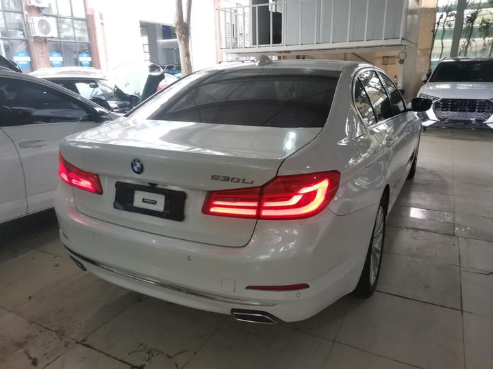 5 Series 2019 530Li Leading Luxury photo 4