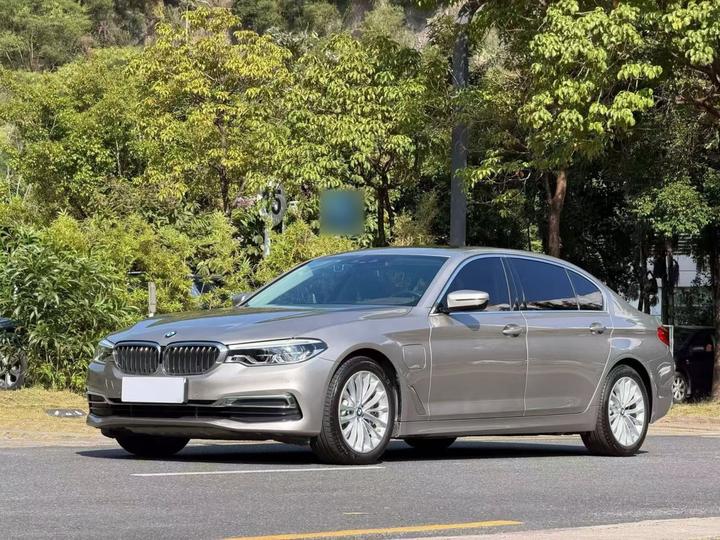 5 Series EV 2020 530Le Luxury