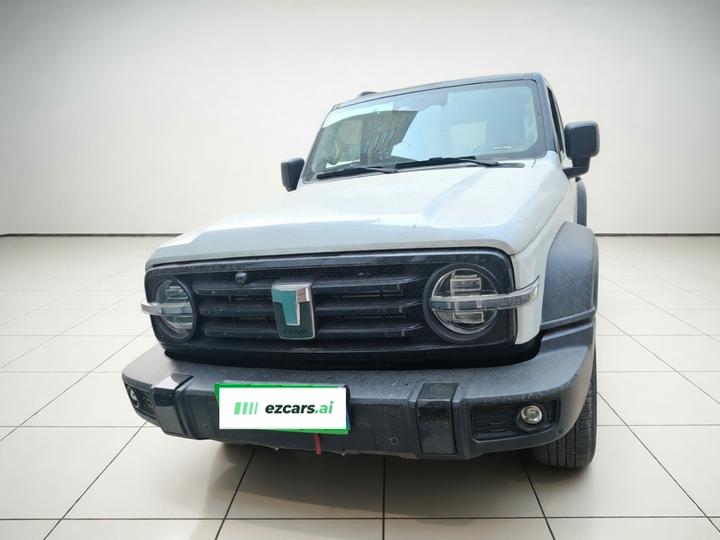300 2021 Off-road 2.0T Conqueror photo 2