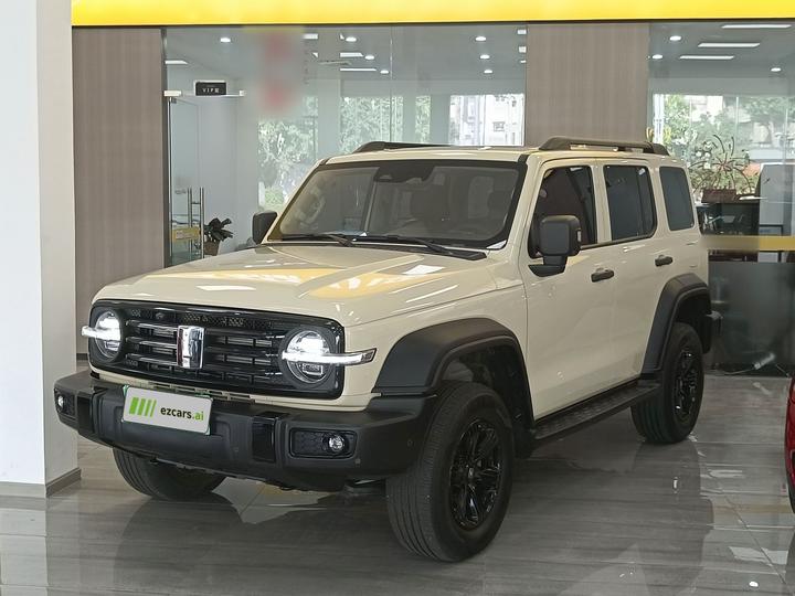 300 2025 2.0T Petrol Conqueror