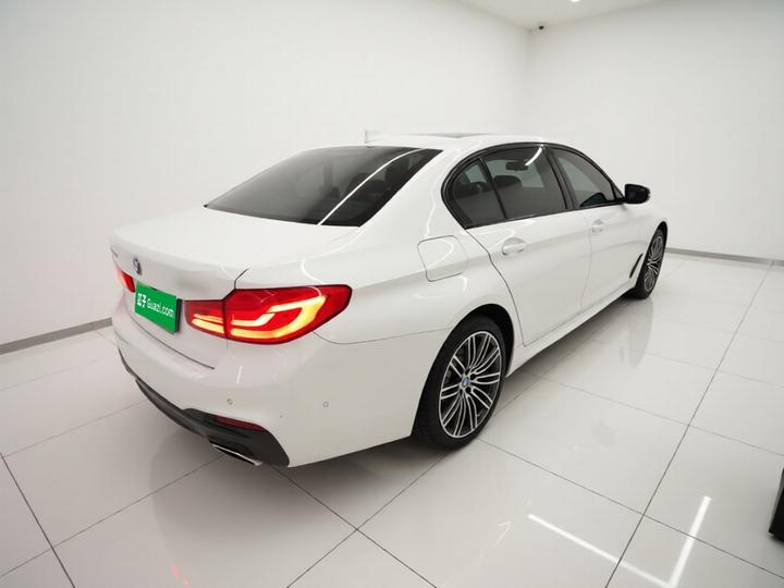 5 Series 2019 530Li Leading M Sport Package photo 6