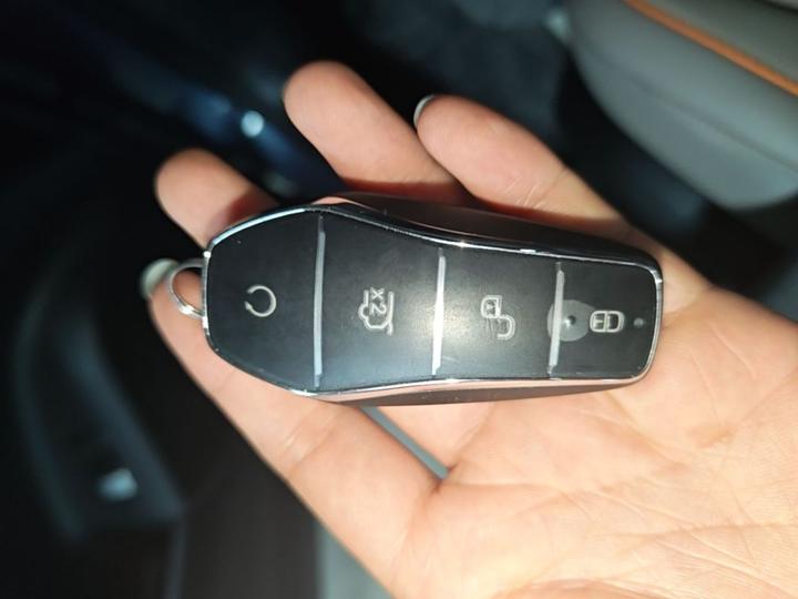 Song Pro EV 2024 Honor DM-i 110KM Excellence photo 8
