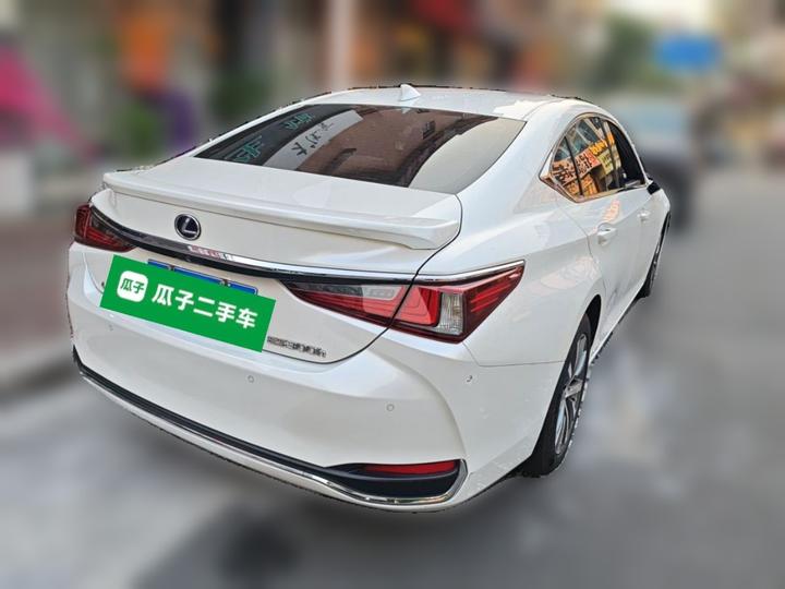 ES 2018 300h Excellence China V photo 6