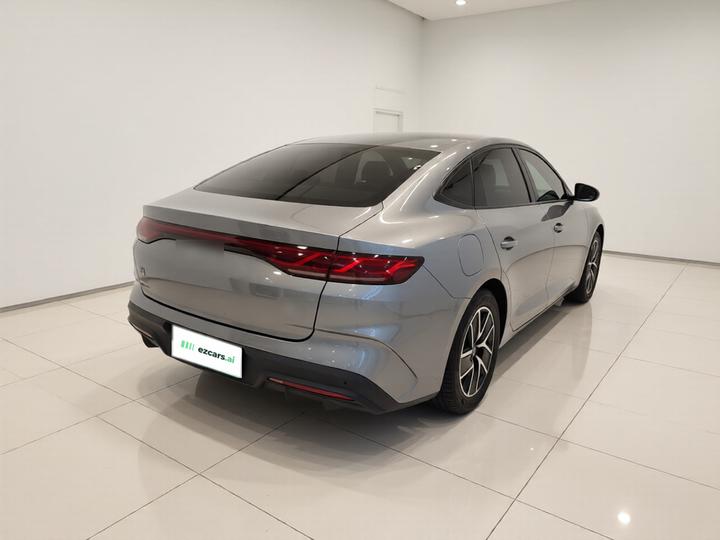 Qin L 2024 DM-i 80KM photo 6