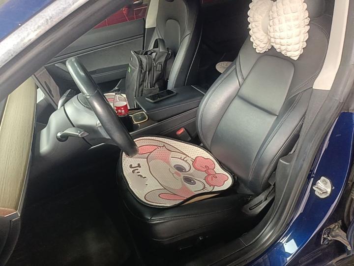 Model 3 Imported 2019 Long Range RWD photo 6