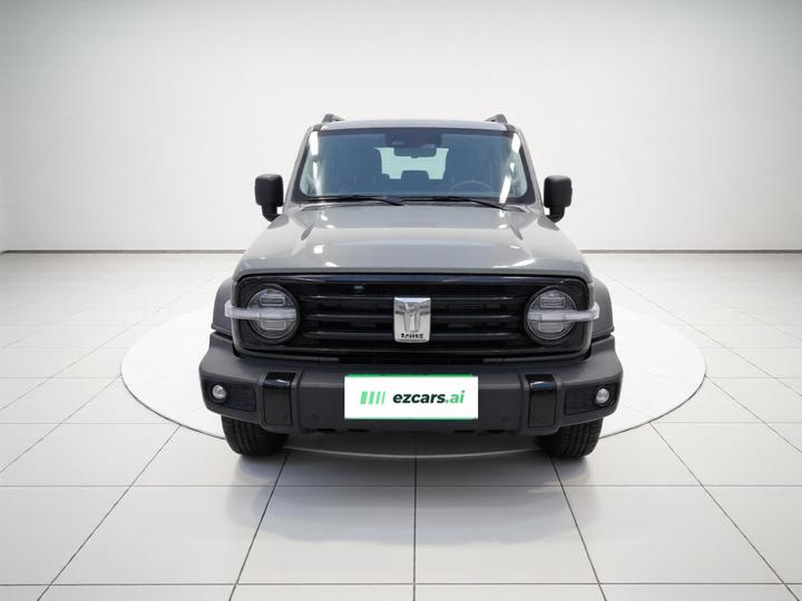 300 2021 Off-road 2.0T Conqueror photo 2