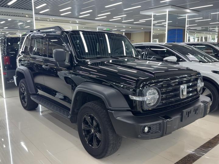 300 2021 Off-road 2.0T Conqueror photo 3
