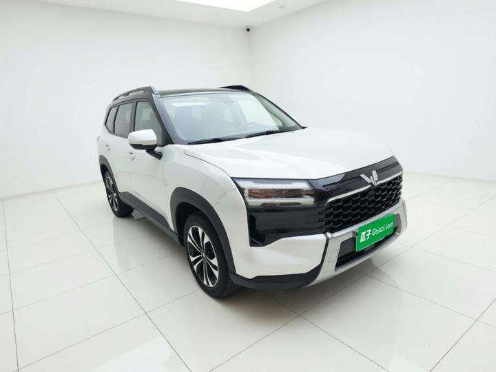 560 EV 2026 125km Luxury photo 3