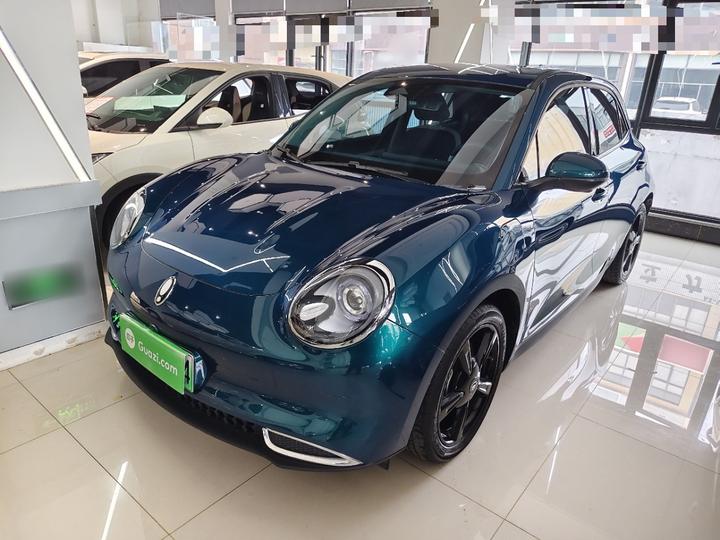 Good Cat 2024 401km Luxury