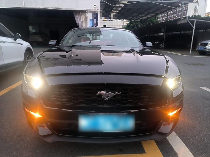 Mustang Parallel Import photo 2
