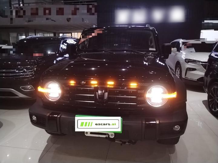 300 2021 Off-road 2.0T Conqueror photo 2