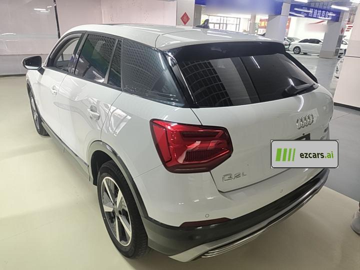 Q2L e-tron 2019 Q2L e-tron EV Smart photo 4