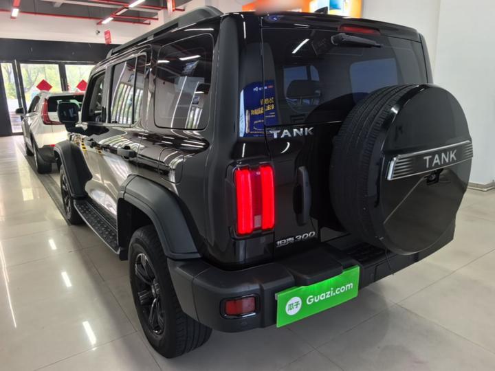 300 2023 Off-road 2.0T Conqueror photo 4
