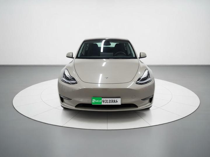 Model Y 2021 Standard Range RWD photo 2
