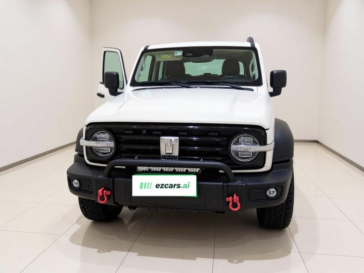 300 2021 Off-road 2.0T Conqueror photo 2