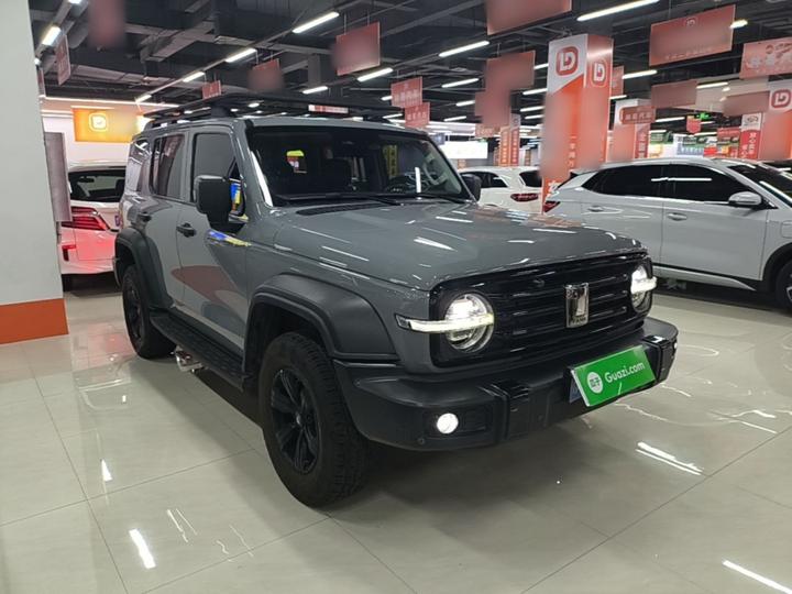 300 2021 Off-road 2.0T Conqueror photo 3