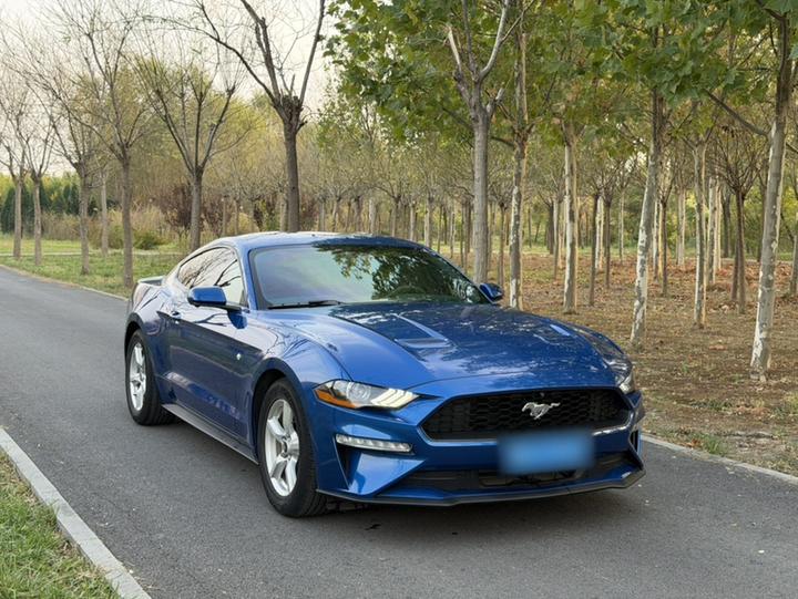 Mustang 2017 2.3T Sport photo 3