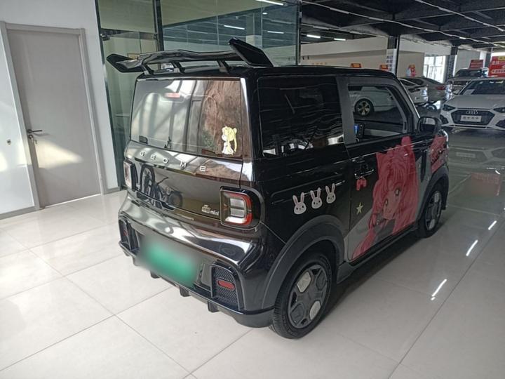 2025 210km Panda photo 6