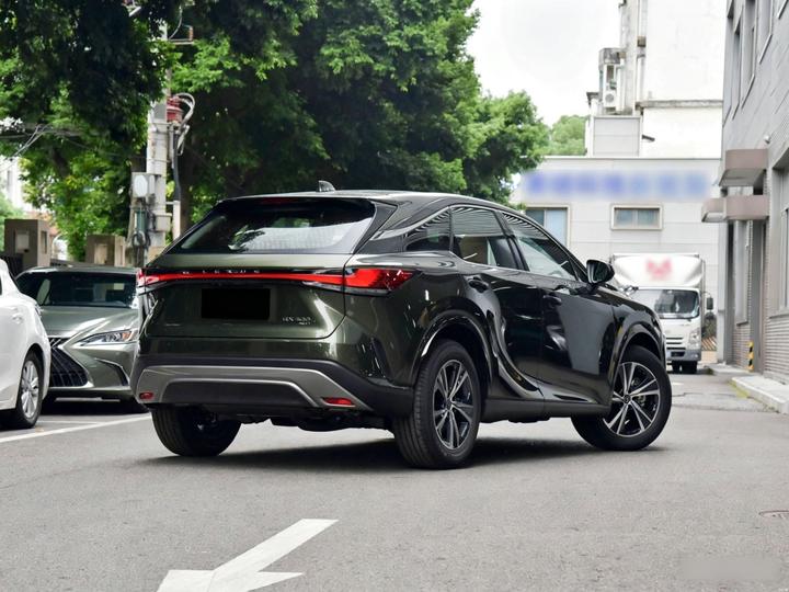 RX 300 AWD photo 6