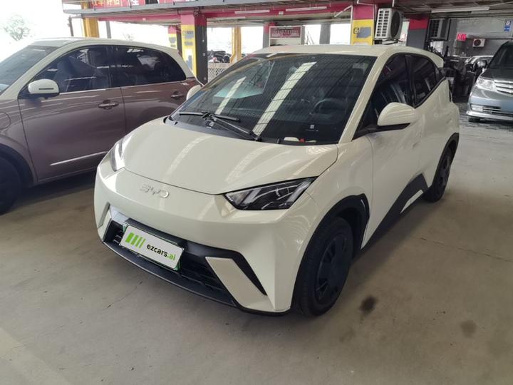 Seagull 2025 305km
