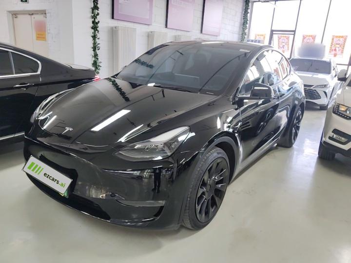 Model Y 2021 Standard Range RWD