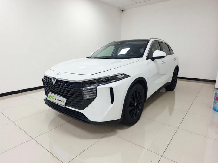 V 2021 260T
