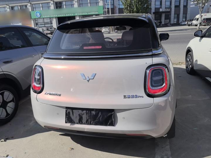 Bingo Pro 2026 403km Exclusive photo 5