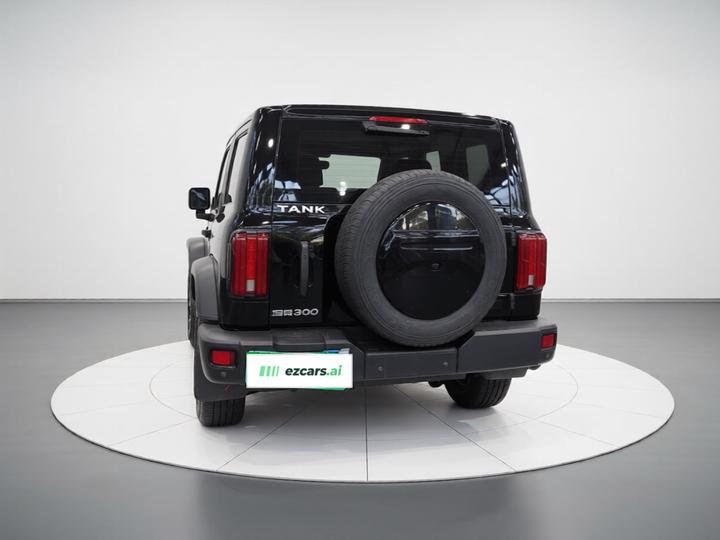 300 2023 Off-road 2.0T photo 4