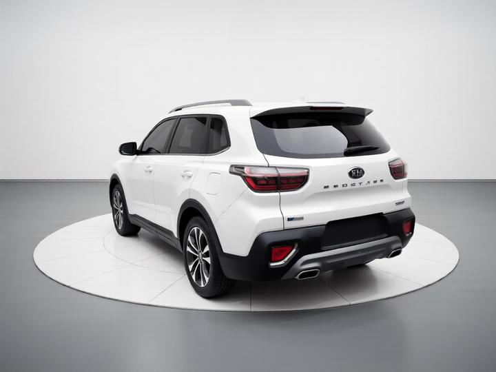 Sportage 2018 2.0L AT Smart Luxury China V photo 4