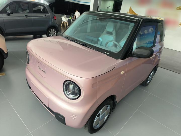 2023 Panda mini 200km Endurance Bear