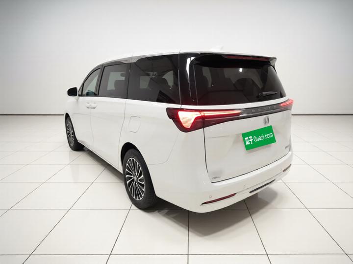 GL8 EV 2025 Exclusive photo 4