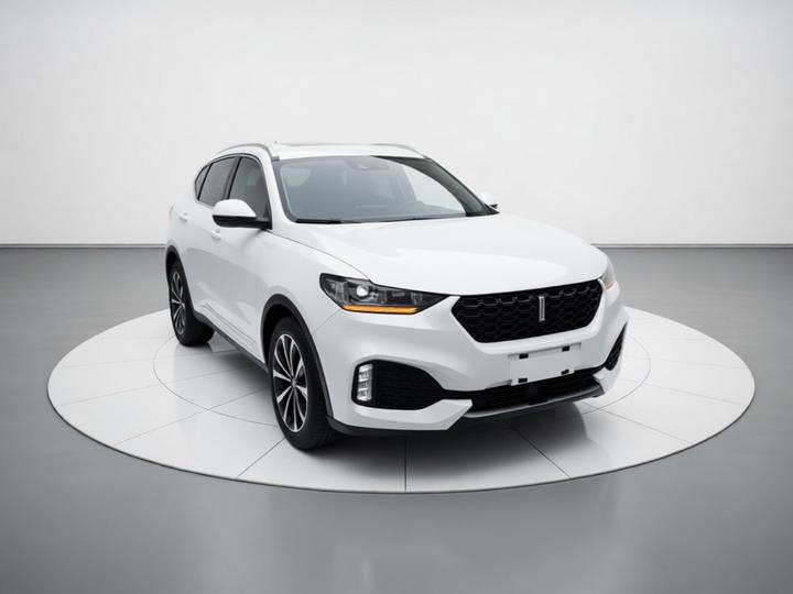 VV6 2018 2.0T AWD Flagship China V photo 3