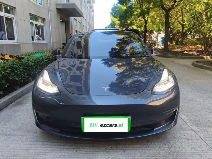 Model 3 Imported 2019 Long Range RWD photo 2
