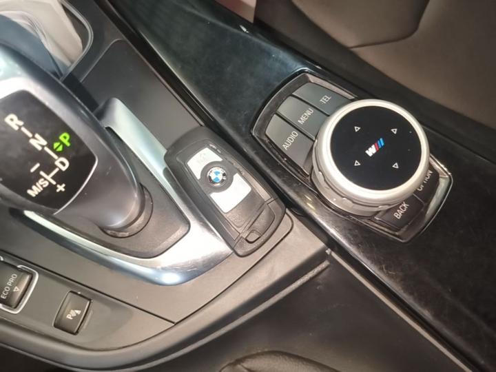3 Series 2016 320Li Progressive photo 8