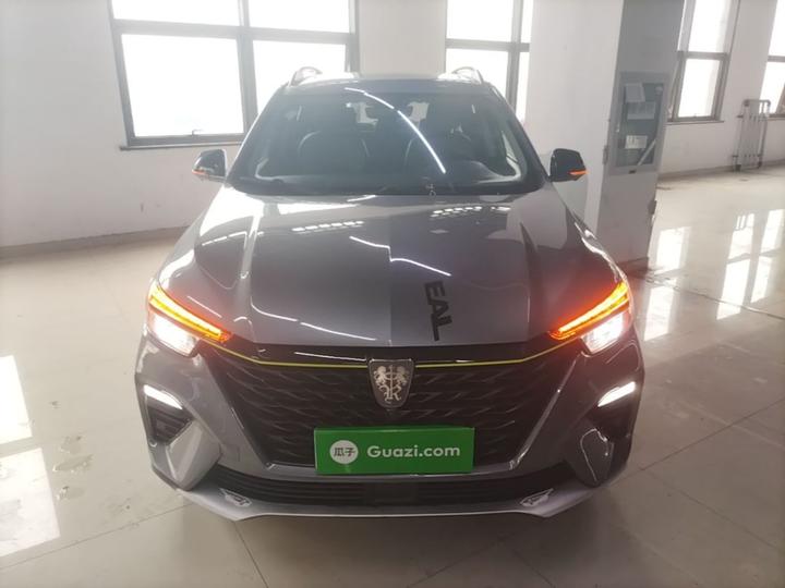 RX5 2020 PLUS 300TGI AT Ali Flagship photo 2