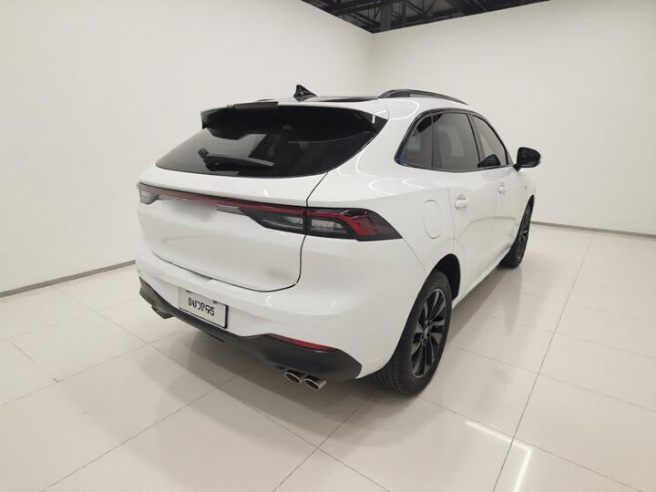 Forthing T5 EVO 2021 1.5TD DCT photo 6
