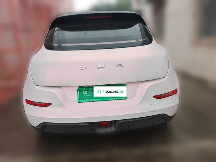 Good Cat 2021 400km Standard Range LFP photo 5