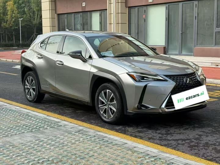 UX EV 2020 300e photo 3